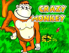 Crazy Monkey